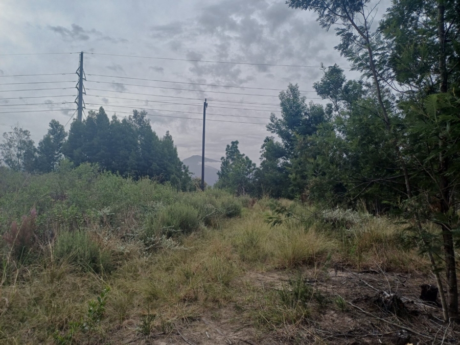 Commercial Property for Sale in Hoekwil Western Cape